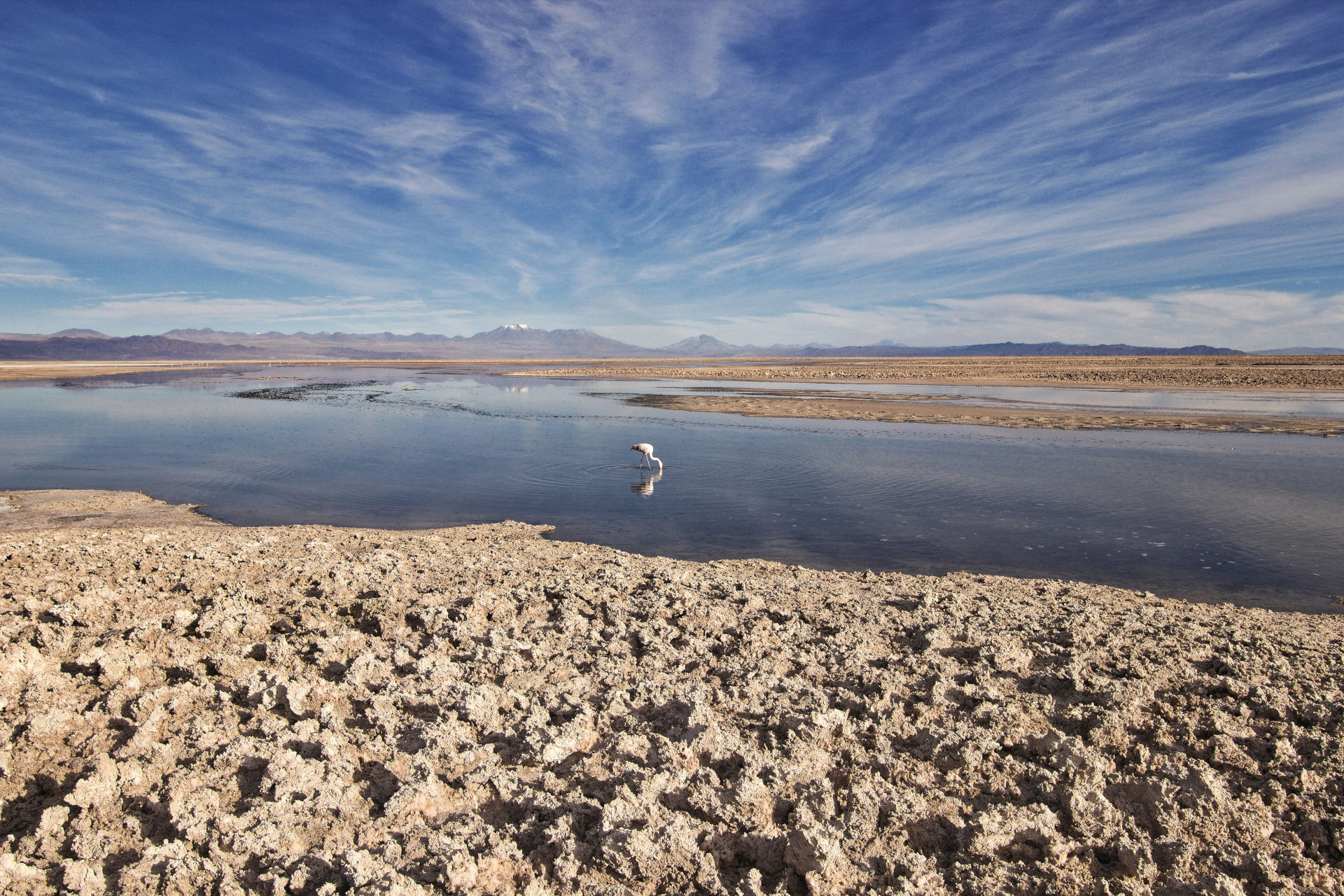 Laguna Chaxa